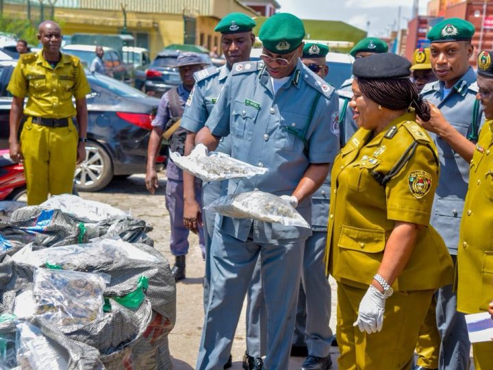 TinCan Customs Makes Second Major Drug Bust in 2 Weeks, Seizes ₦16.6 billion Cannabis Indica …Hands Over 4.1 Tonnes to NDLEA