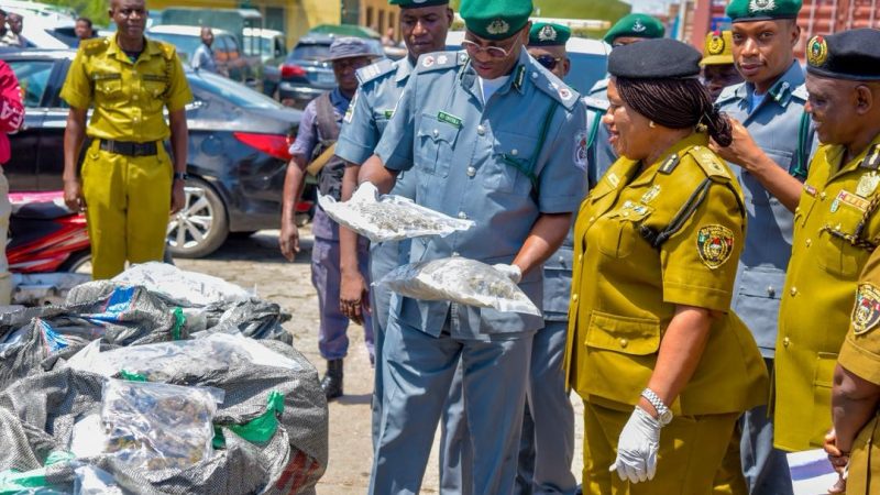 TinCan Customs Makes Second Major Drug Bust in 2 Weeks, Seizes ₦16.6 billion Cannabis Indica …Hands Over 4.1 Tonnes to NDLEA